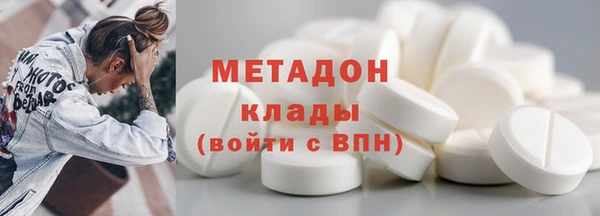 стаф Алзамай