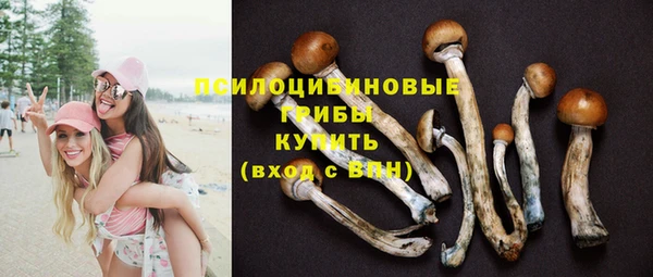 СК Алексин