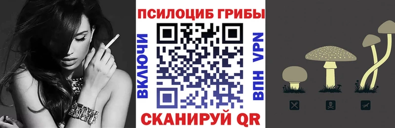 как найти   Невинномысск  Псилоцибиновые грибы Psilocybine cubensis 